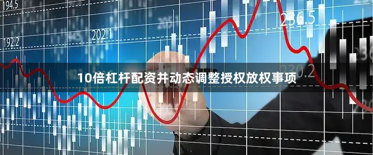 10倍杠杆配资并动态调整授权放权事项