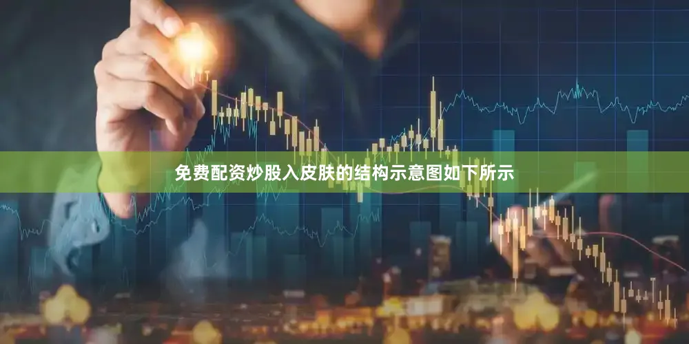 免费配资炒股入皮肤的结构示意图如下所示